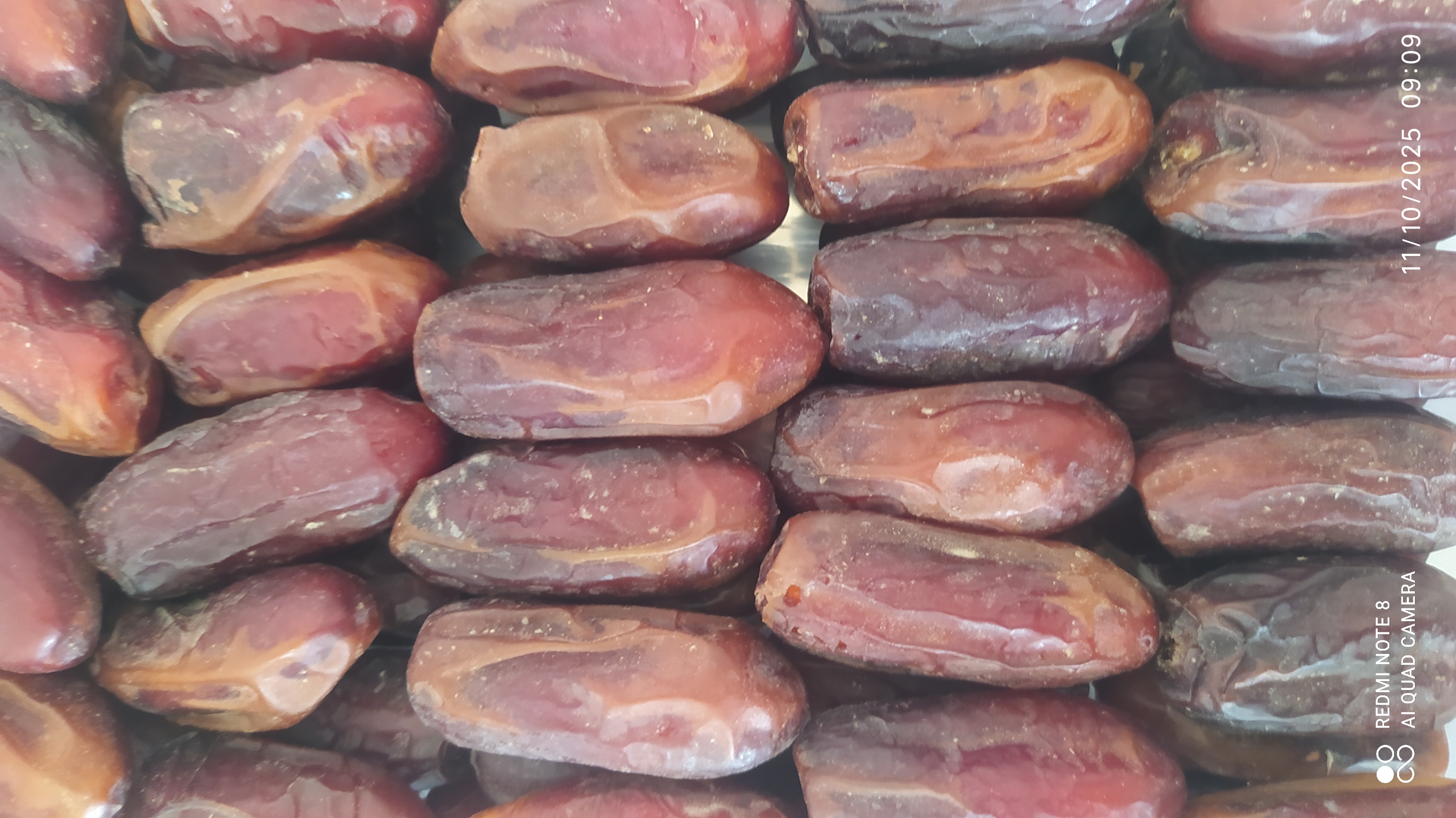 ربئی ( ربی)( Rabaee)