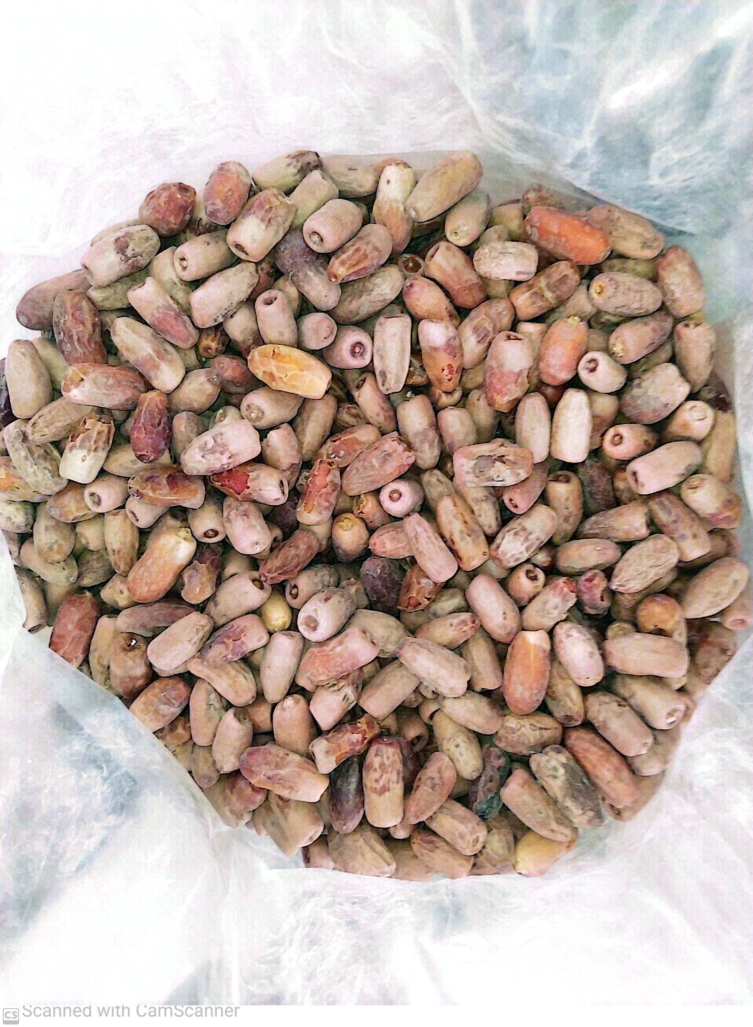 خرما خشک رقم وش کنک وکیوم شده