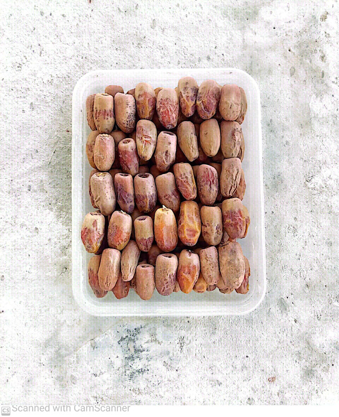 خرما خشک رقم وش کنک وکیوم شده