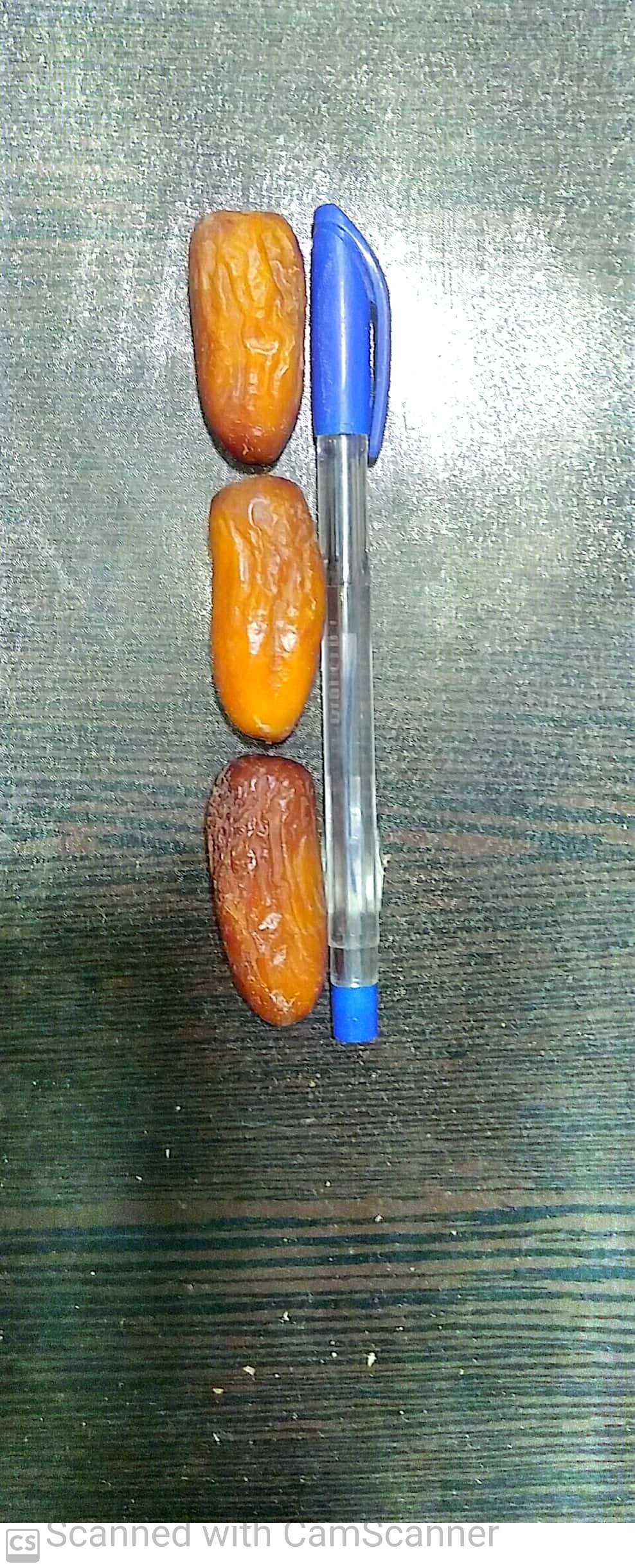 خرما خشک آجیلی رقم صدگنجی